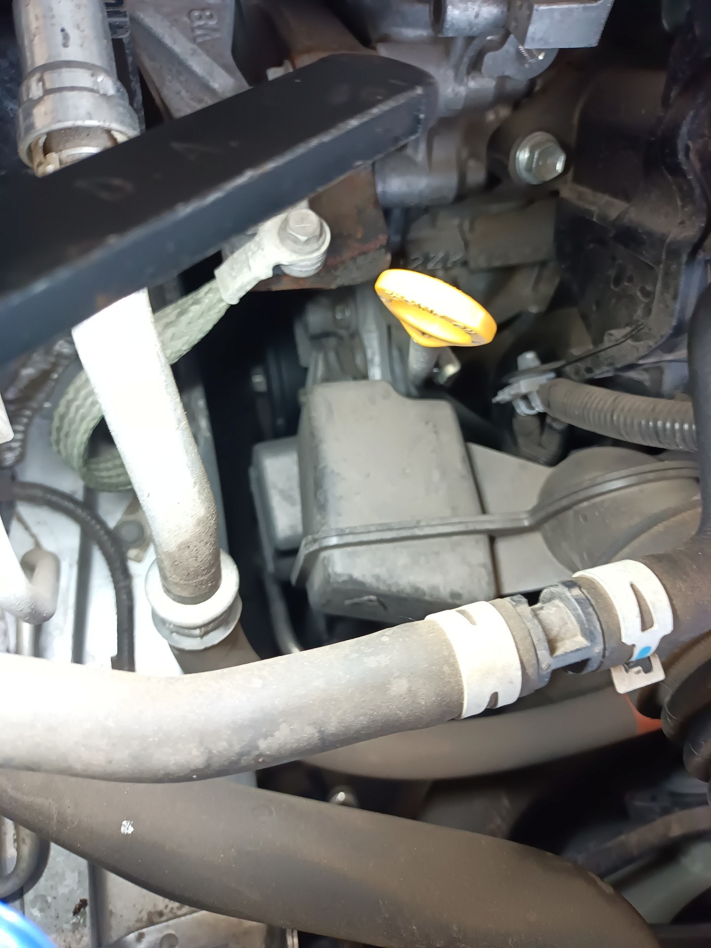 Ocena układu klinowego - TOYOTA COROLLA Kombi