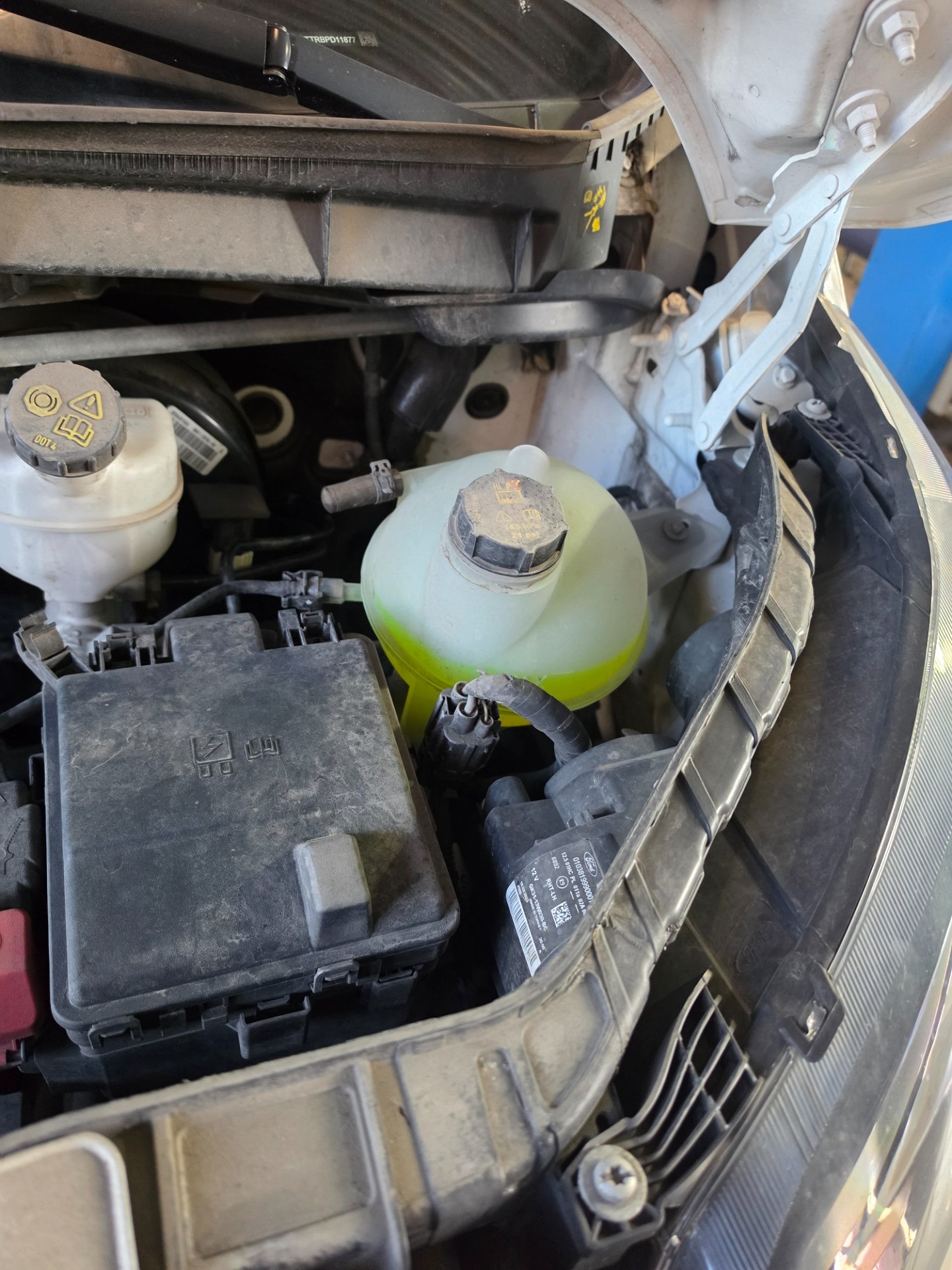 Poziom płynu chłodniczego - FORD TRANSIT V363 Furgon