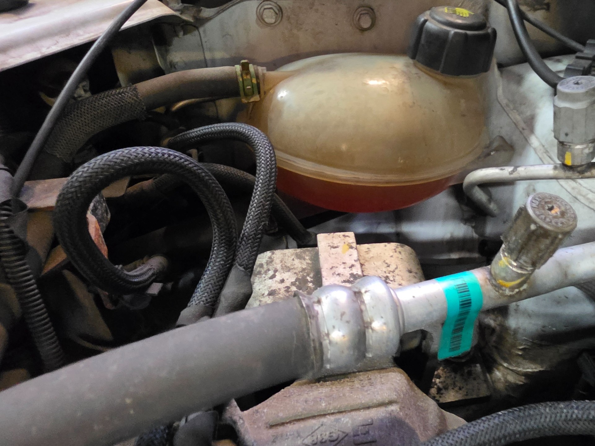 Zbiornik z widocznym płynem oraz przewody i metalowe połączenia w komorze silnika — DACIA LODGY
