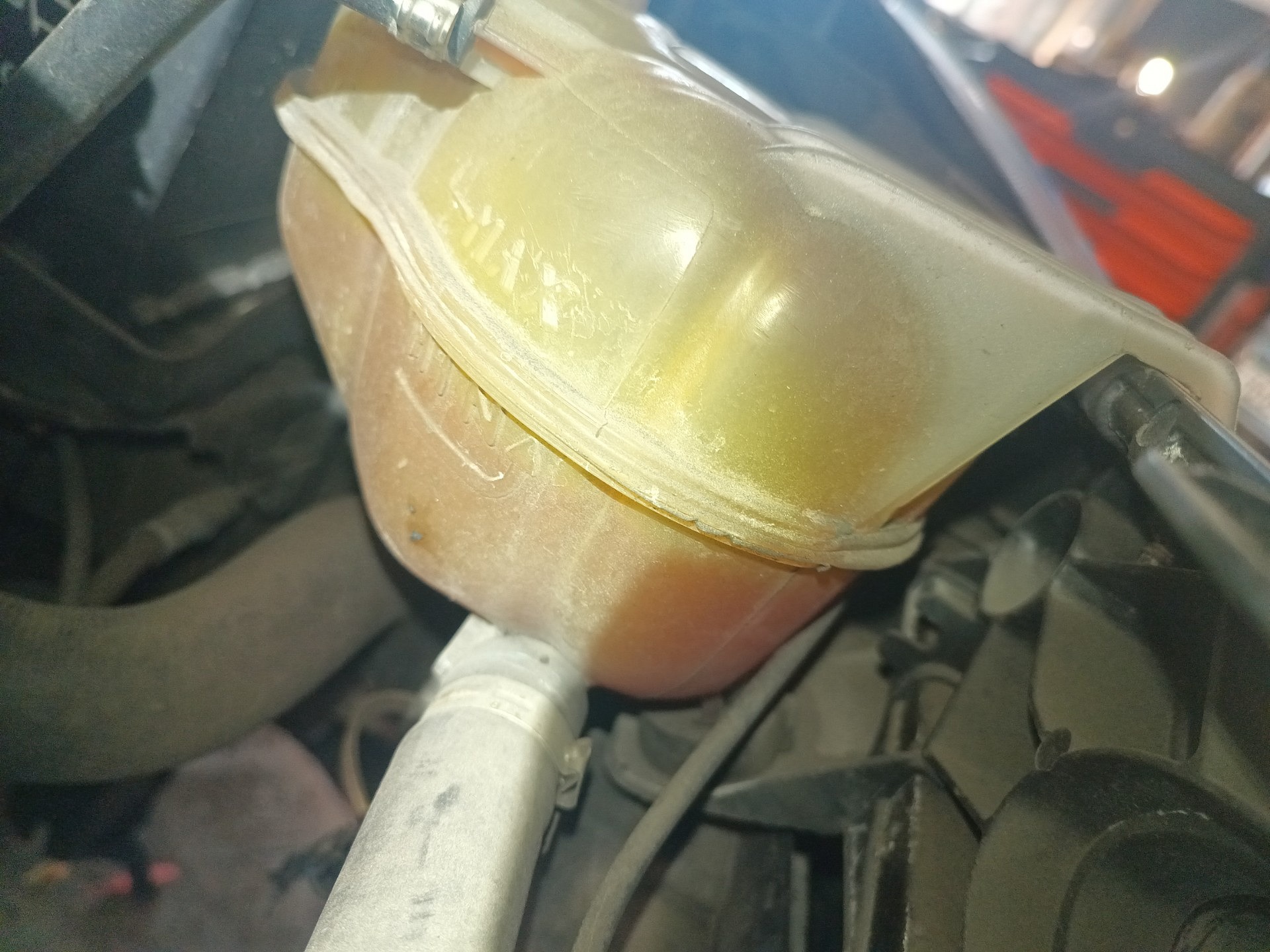 Poziom płynu chłodniczego - FIAT PUNTO EVO