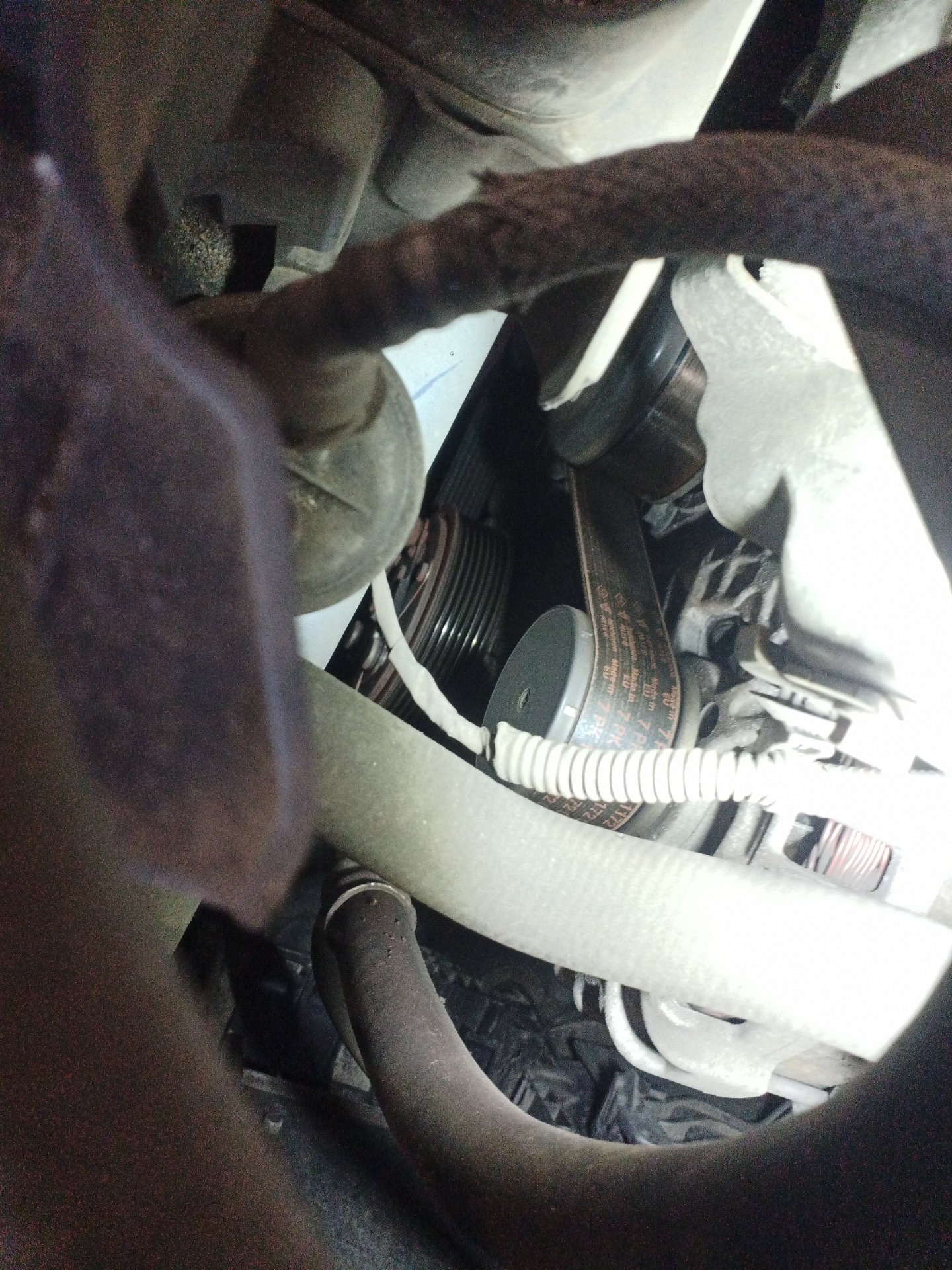 Ocena układu klinowego - RENAULT MEGANE IV liftback