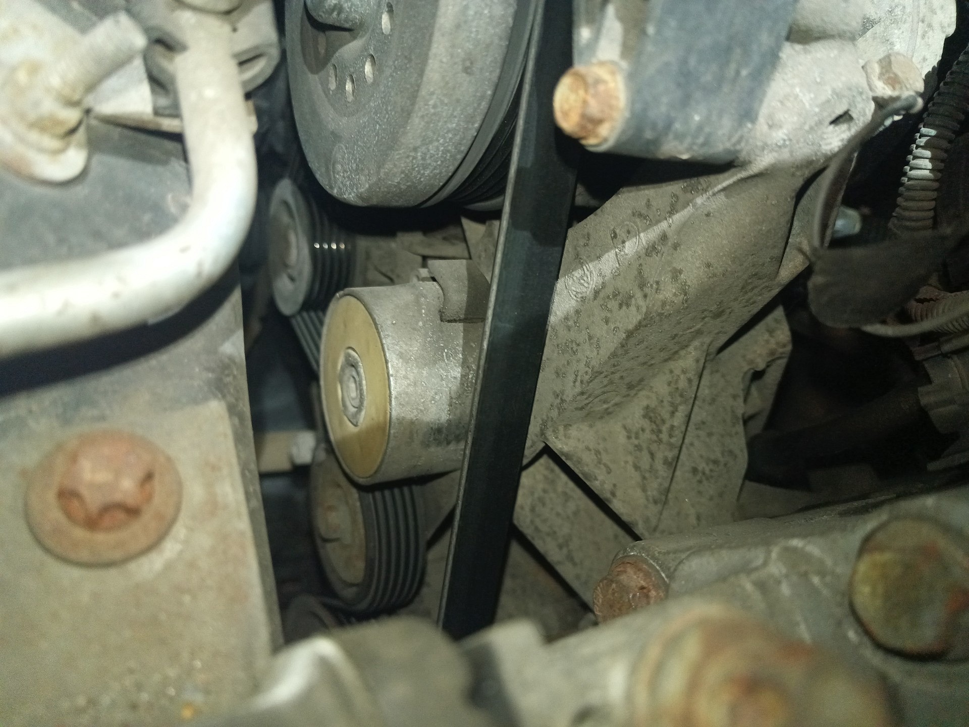 Ocena układu klinowego - FIAT PUNTO EVO