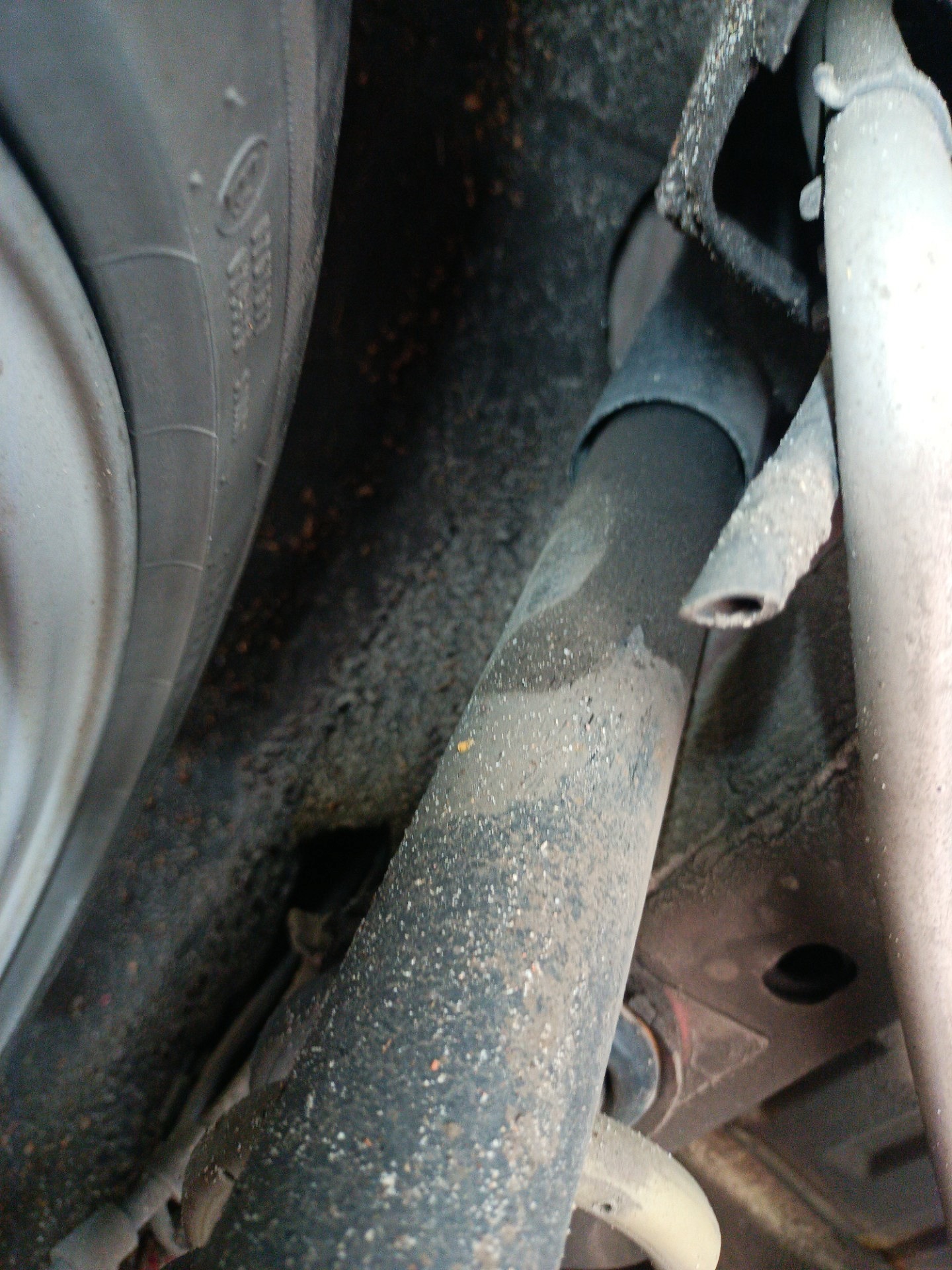 Amortyzatory tylnej osi - FORD ECOSPORT