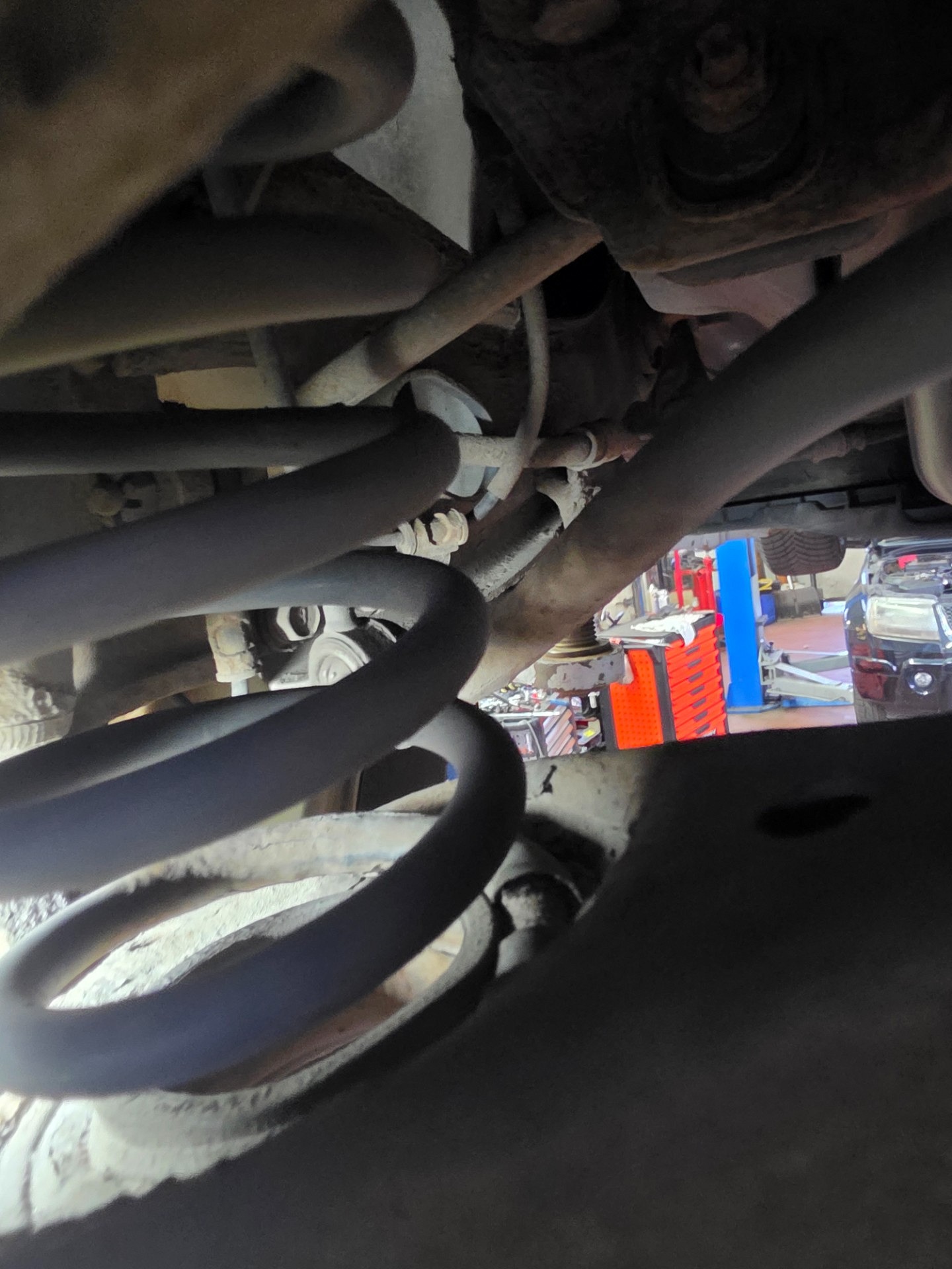 Sprężyny z tyłu - KIA CEED